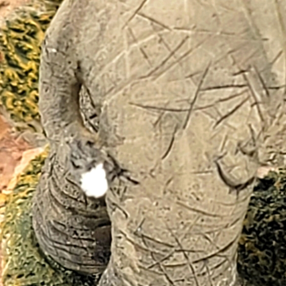 Country Artists Tuskers 2008 " Elephant Family On The Creche" Retired Figurine - Picture 6 of 8